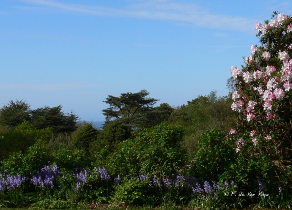Bois des Moutiers (161) Mai 2012